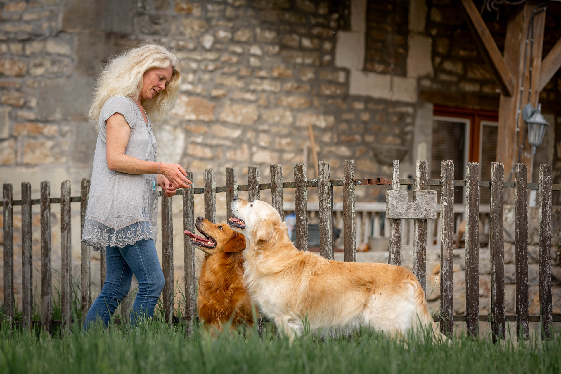 Veronika Kröger arbeitet mit zwei Retrievern am Hof